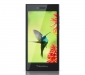 blackberry-leap-