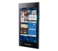 blackberry-leap-5